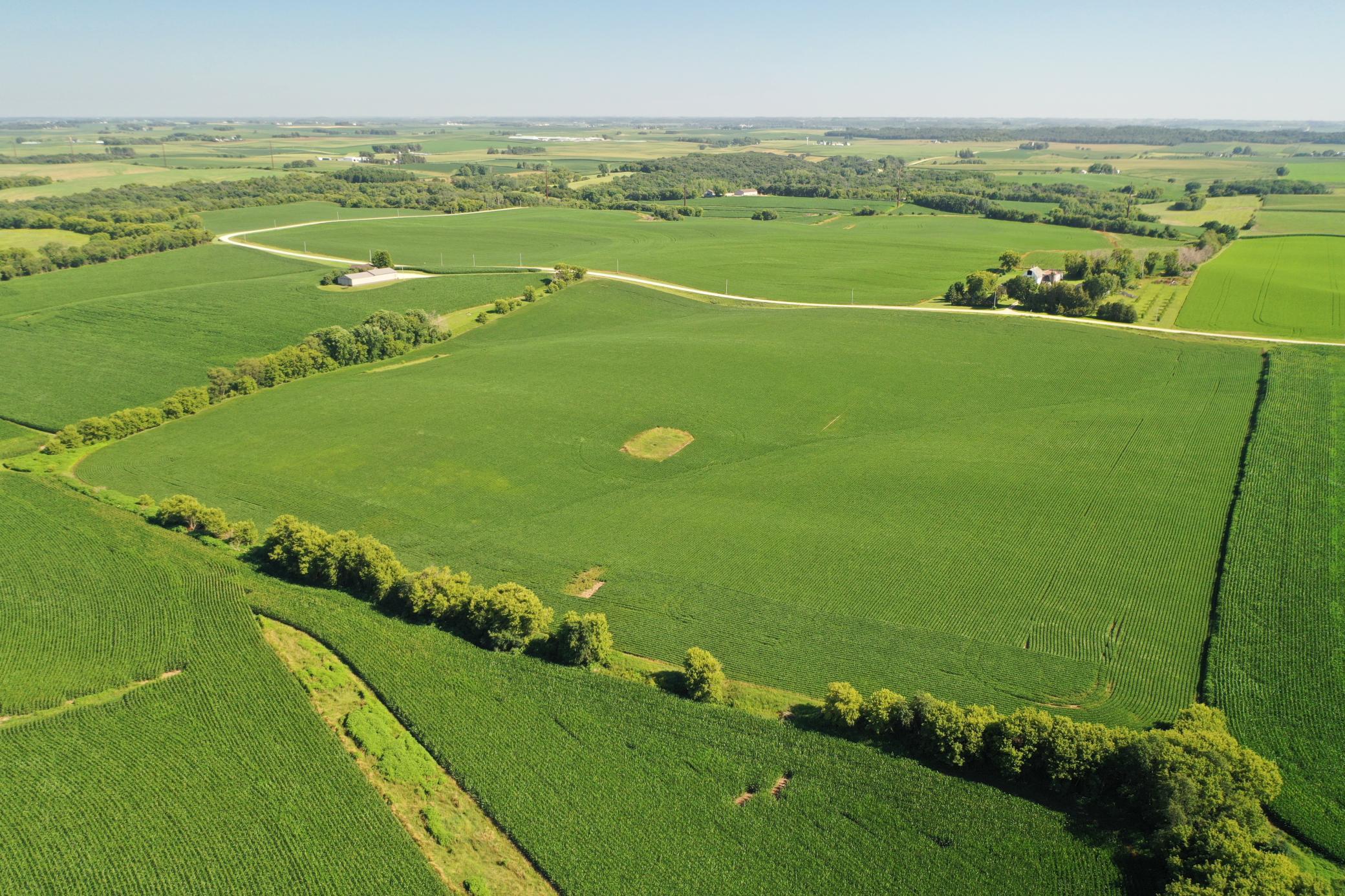 DJI_0492.JPG