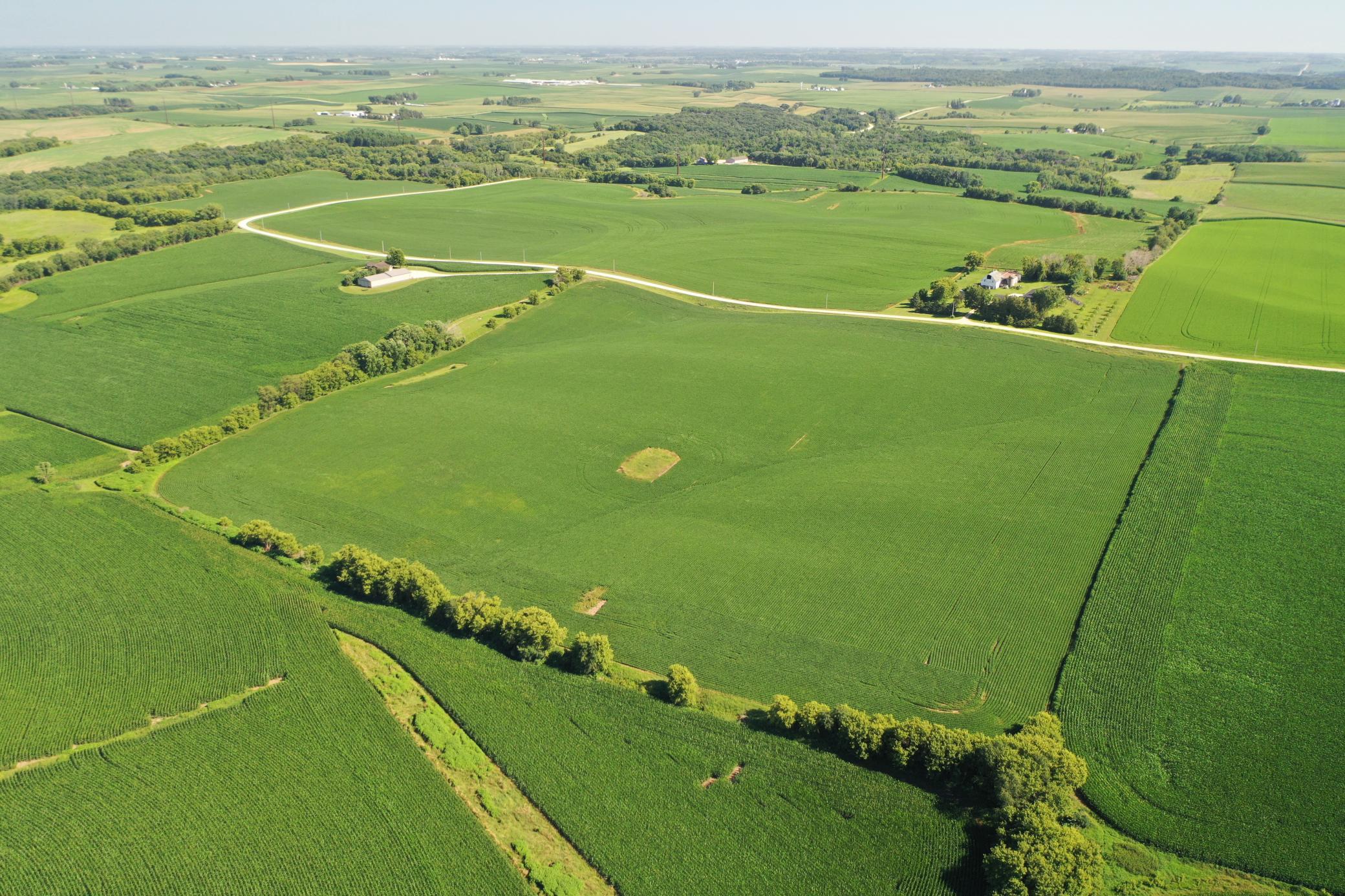 DJI_0491.JPG