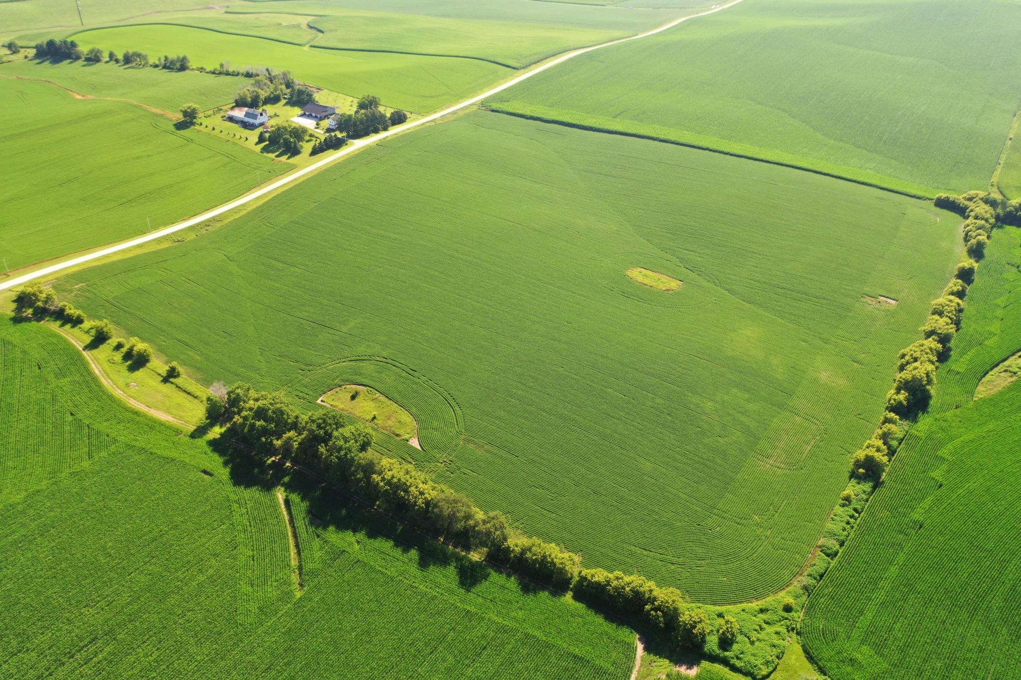 DJI_0494.JPG