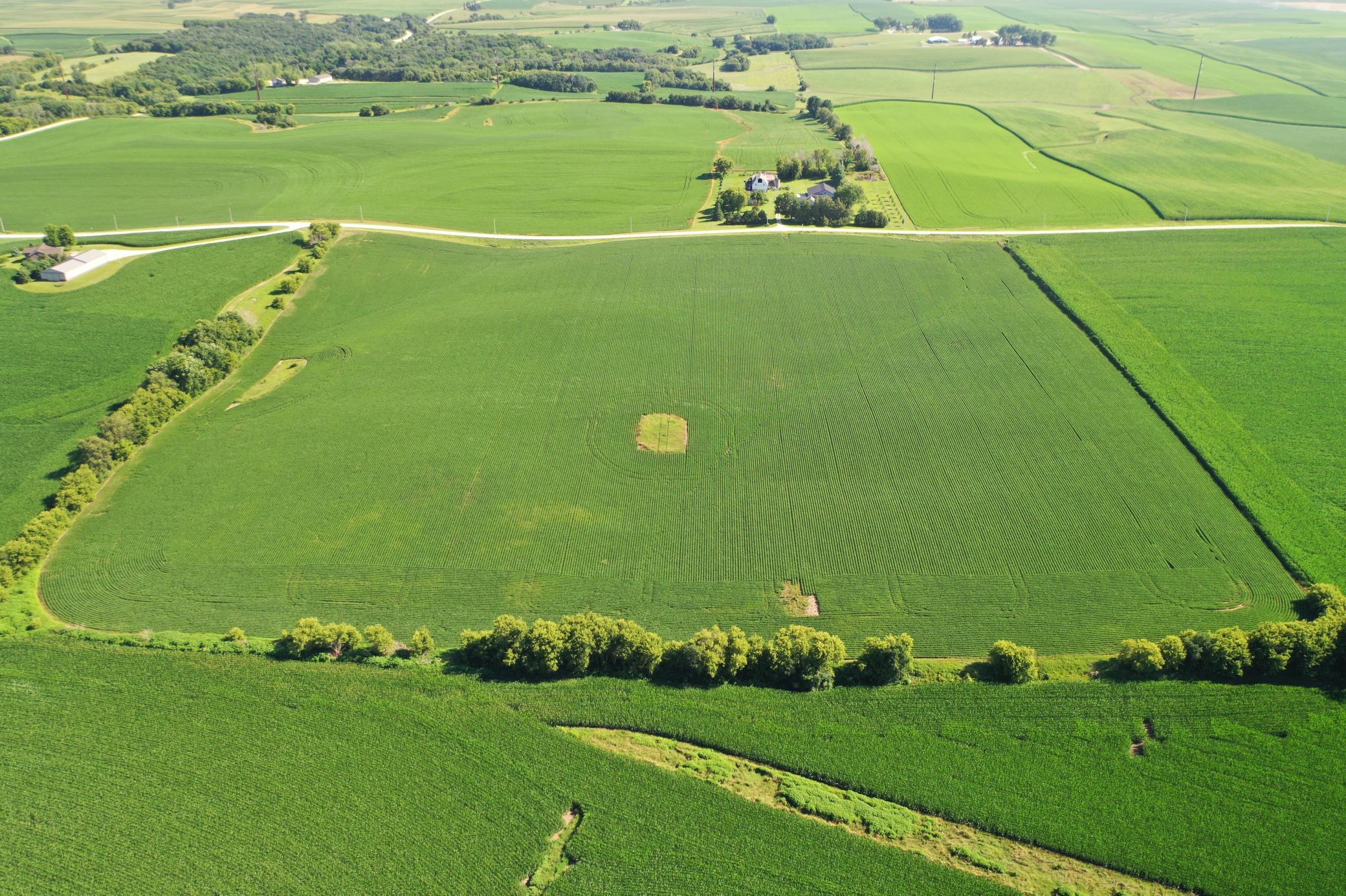 DJI_0490.JPG