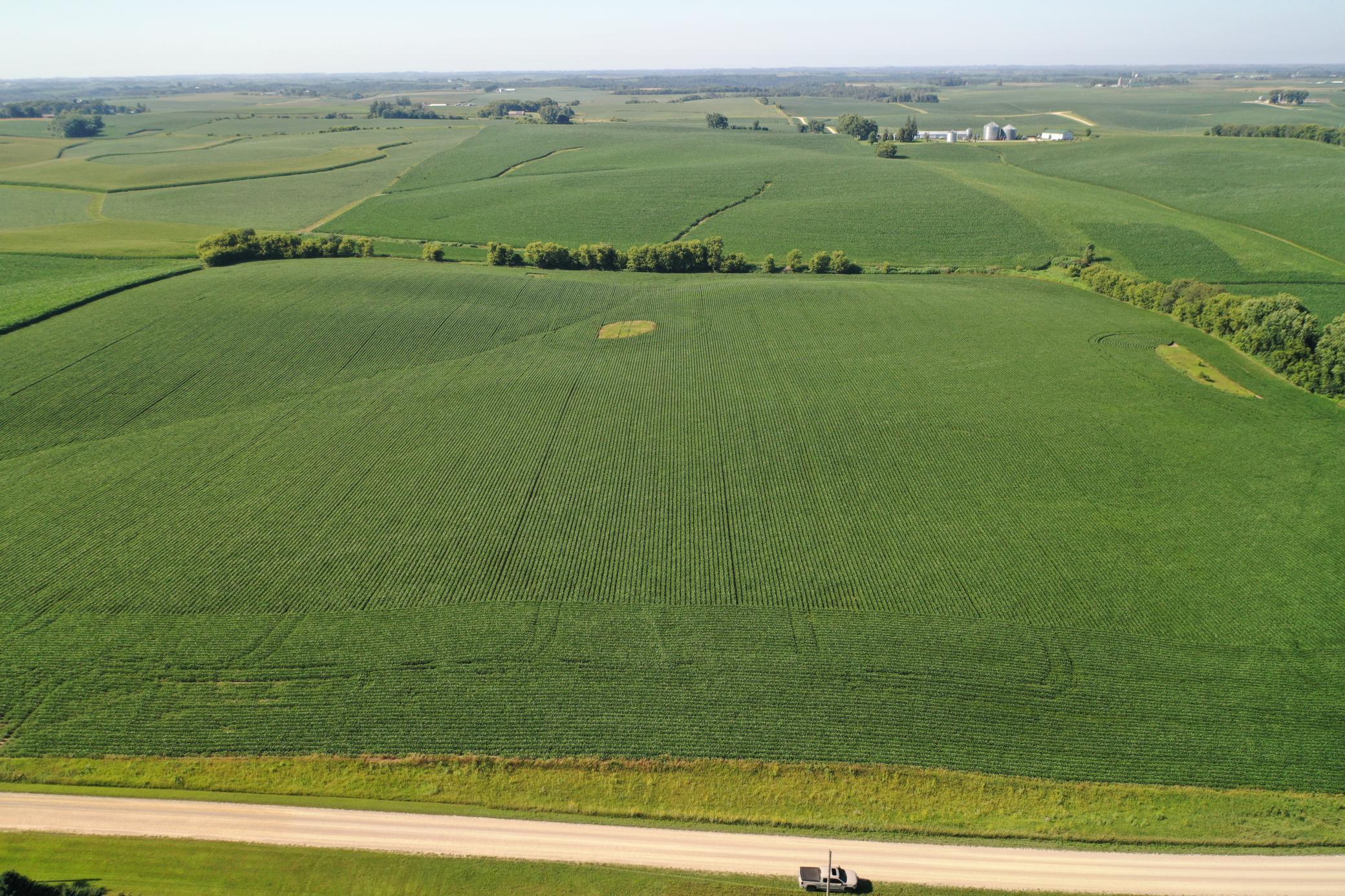 DJI_0499.JPG