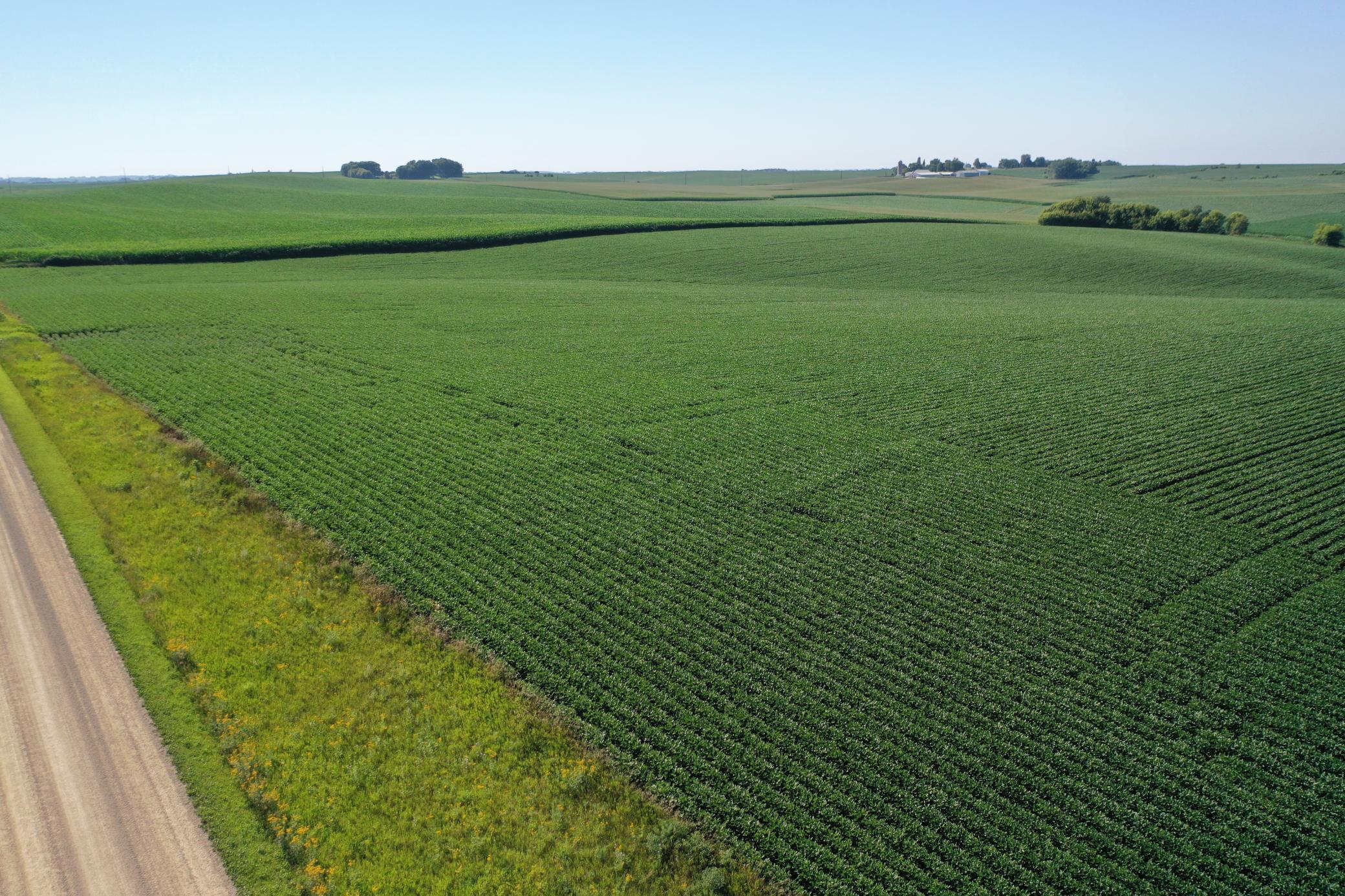 DJI_0506.JPG