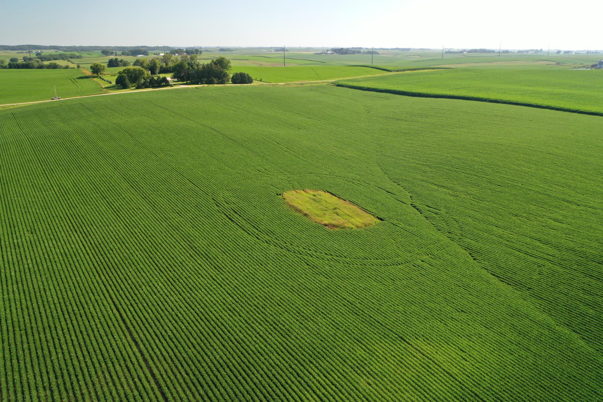 DJI_0502.JPG