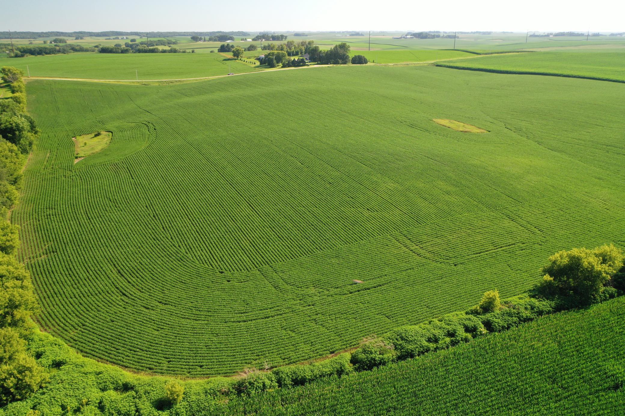 DJI_0500.JPG