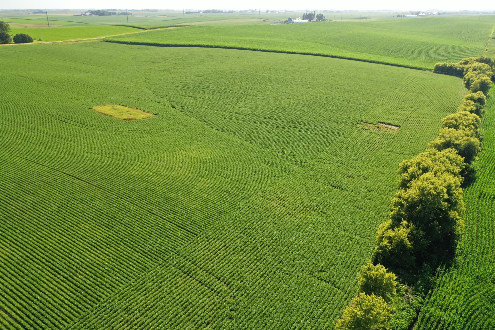 DJI_0501.JPG