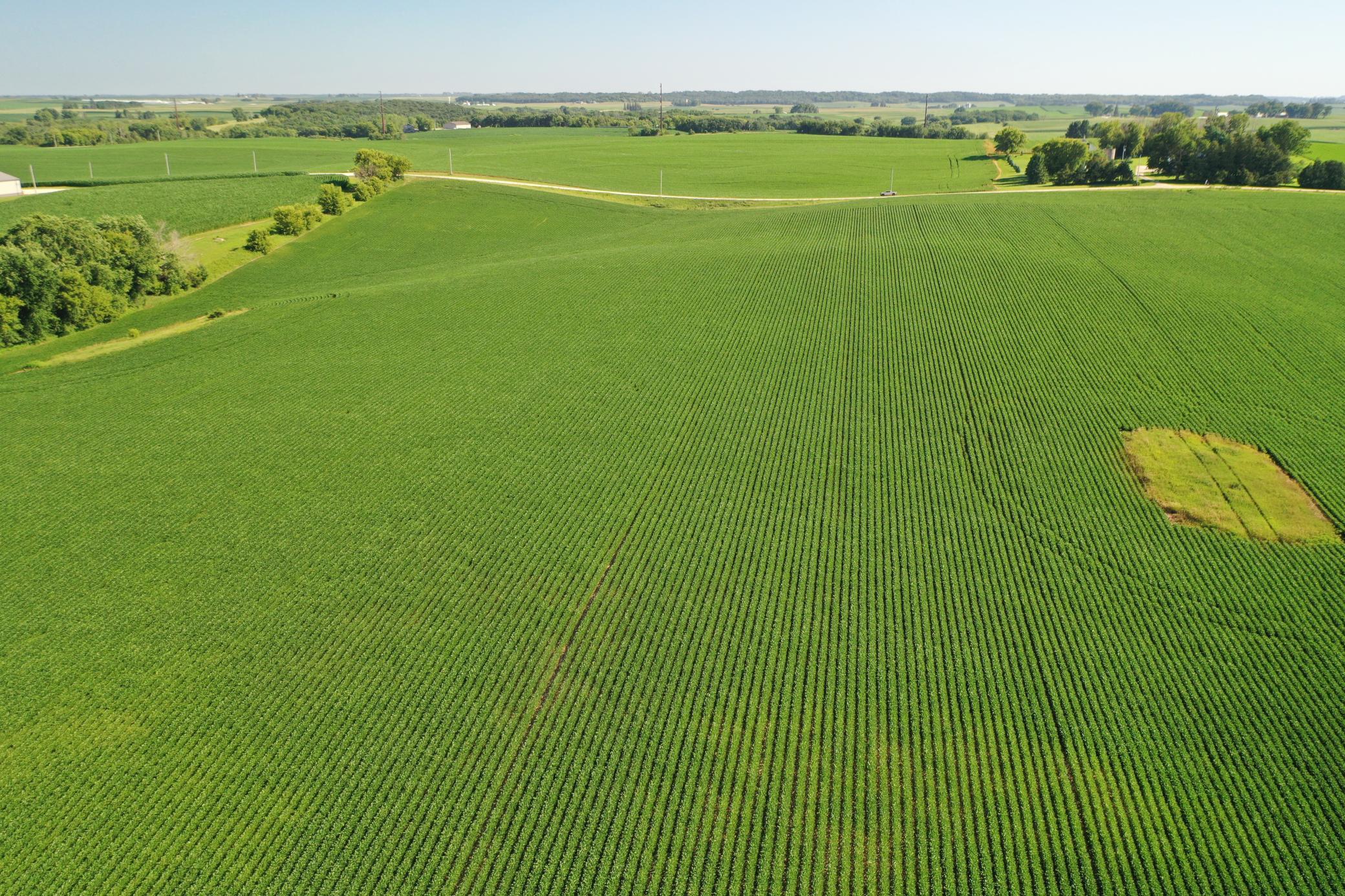 DJI_0503.JPG