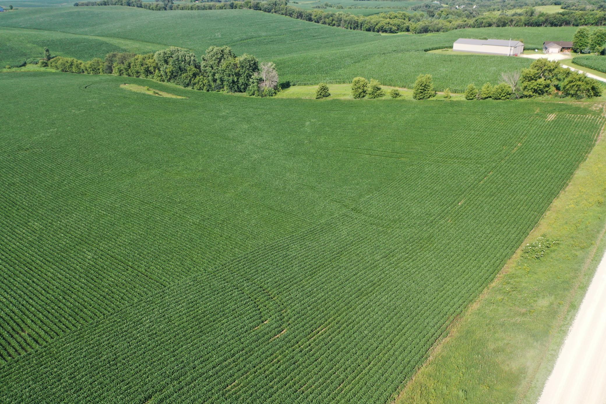 DJI_0498.JPG