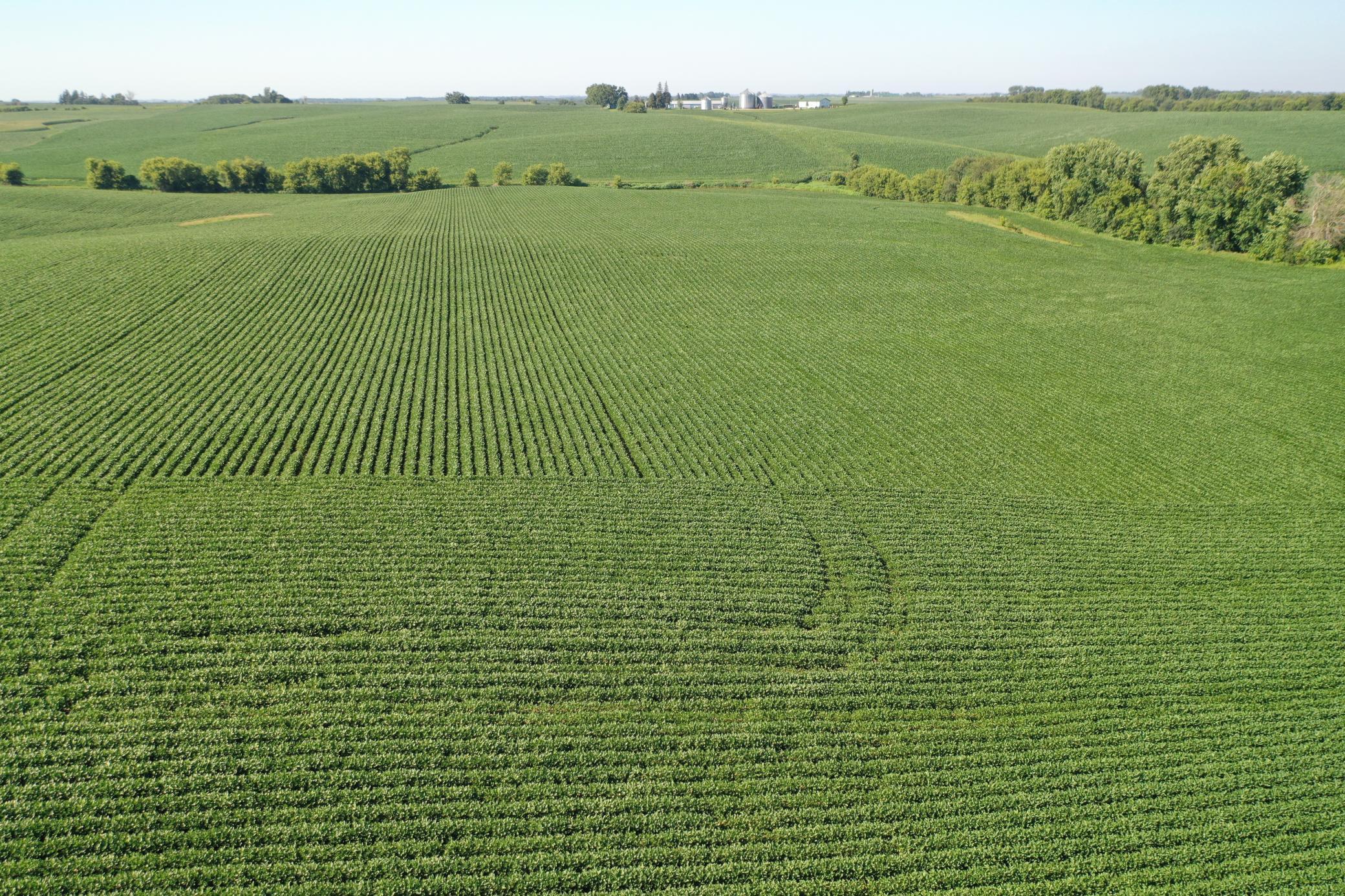 DJI_0507.JPG