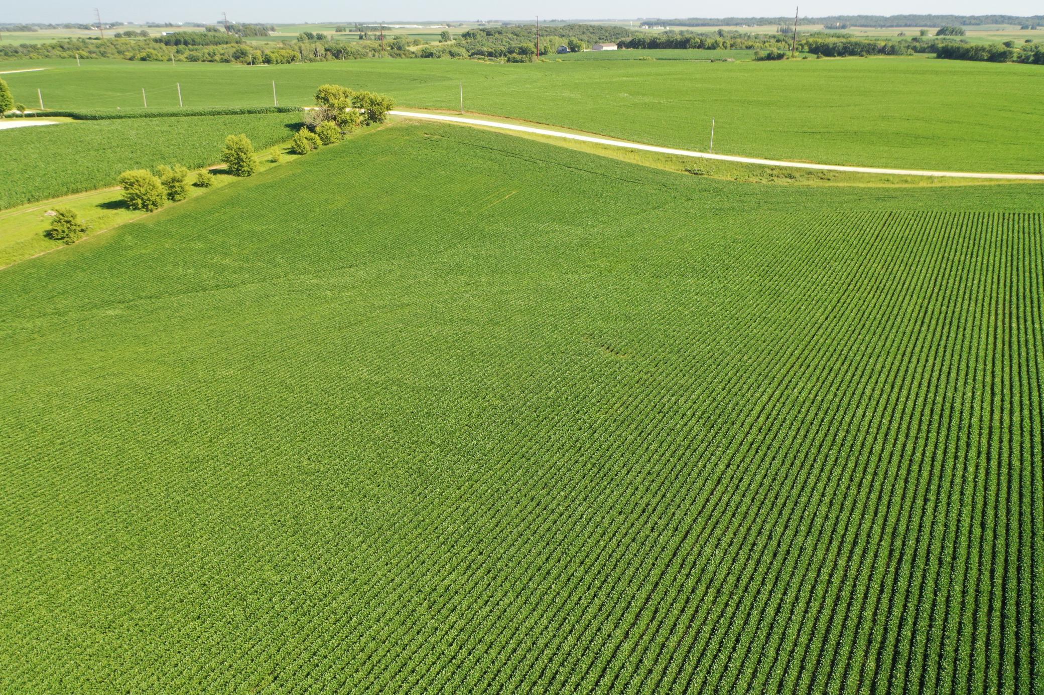 DJI_0504.JPG