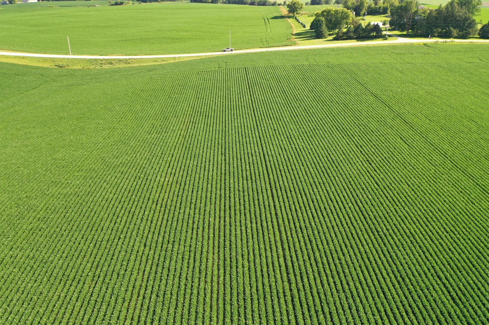 DJI_0505.JPG