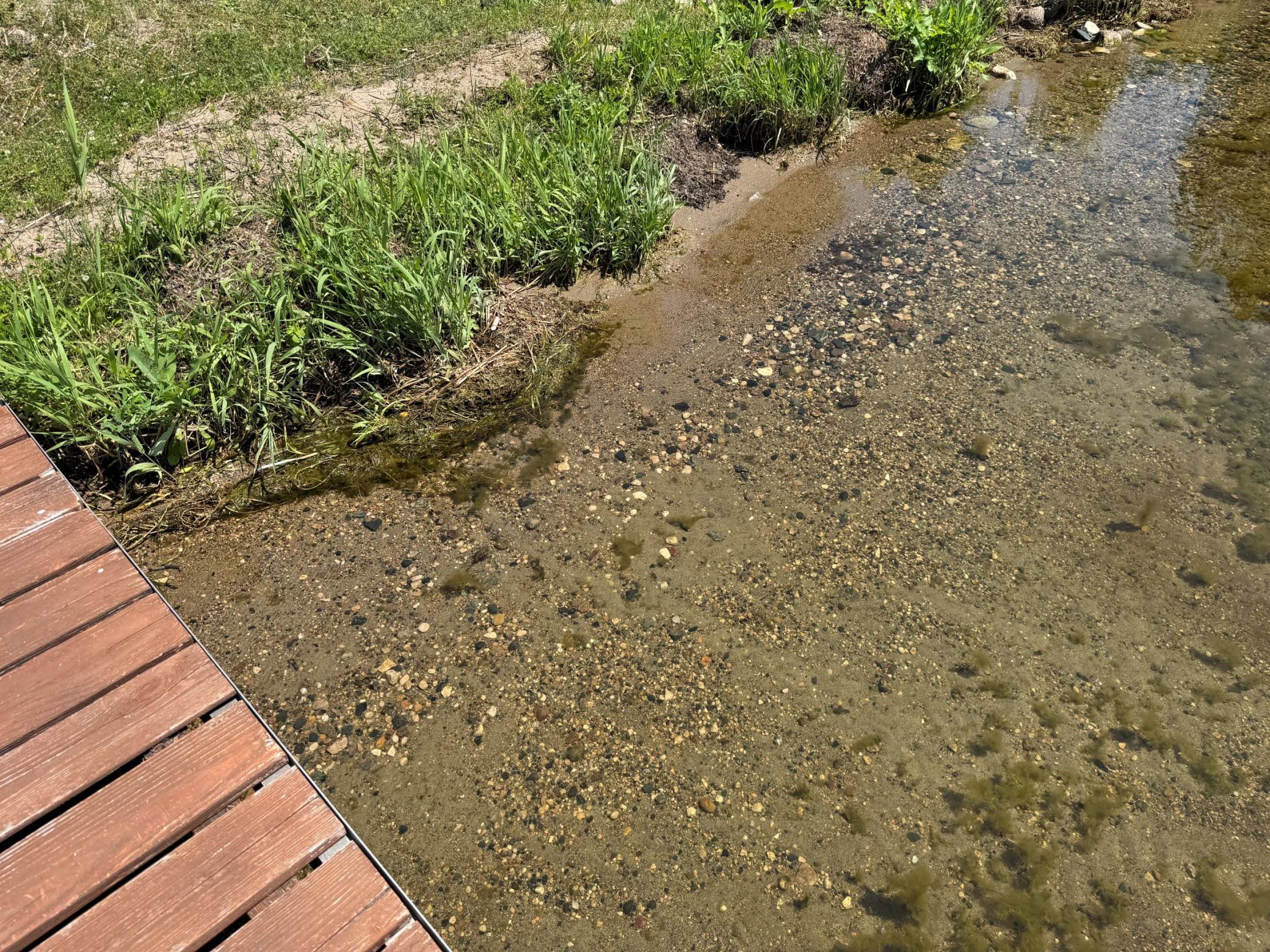 3-Sandy shoreline.jpg