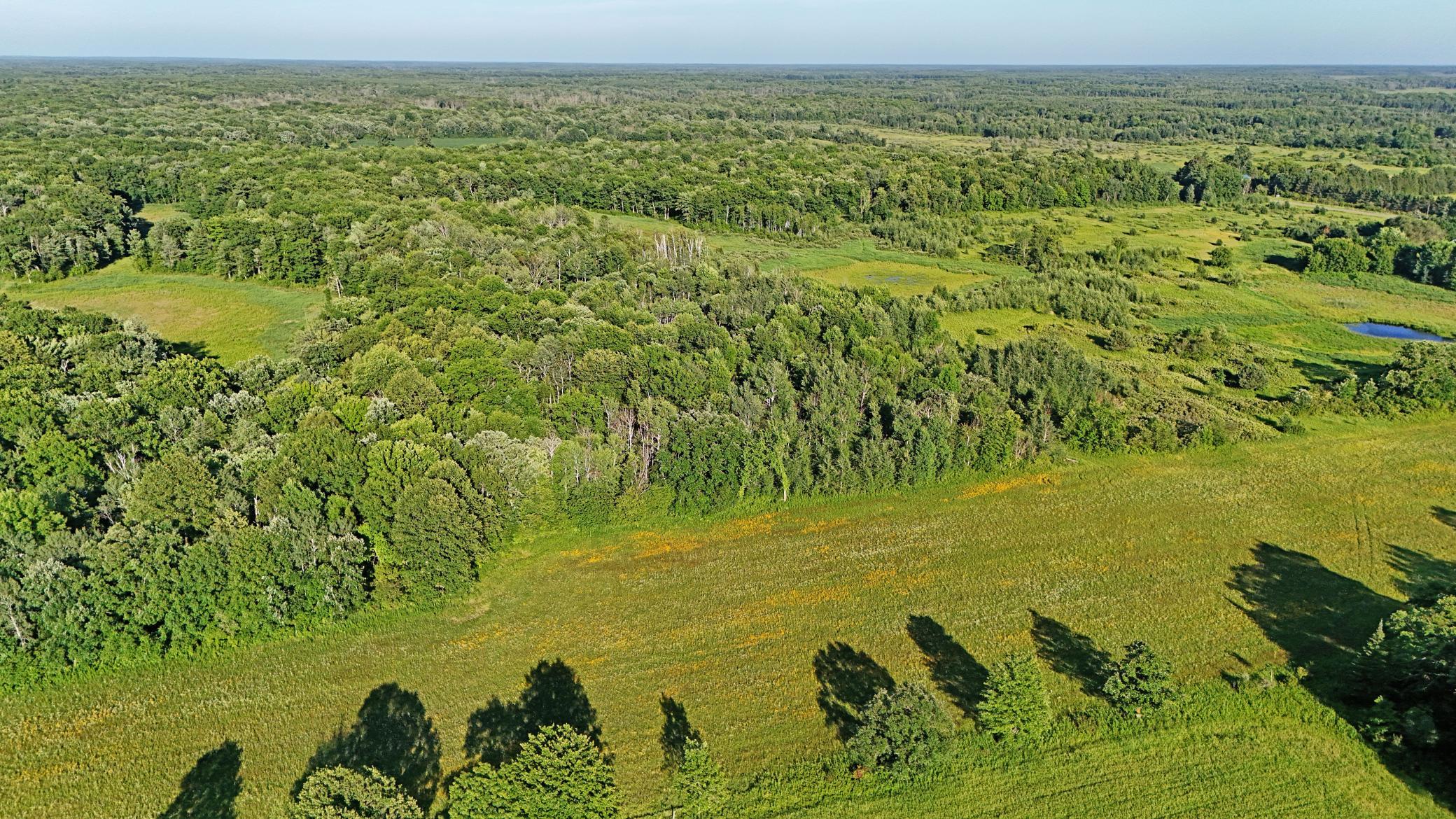 Picture 15.jpg