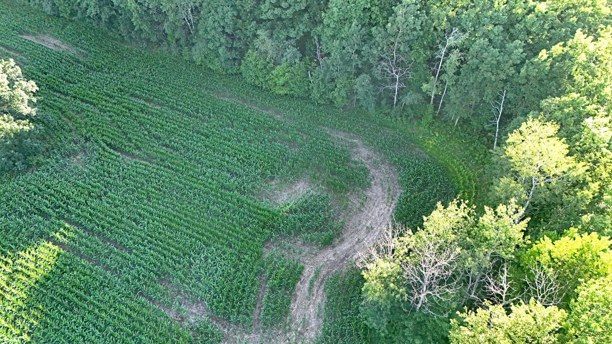 Picture 7.jpg