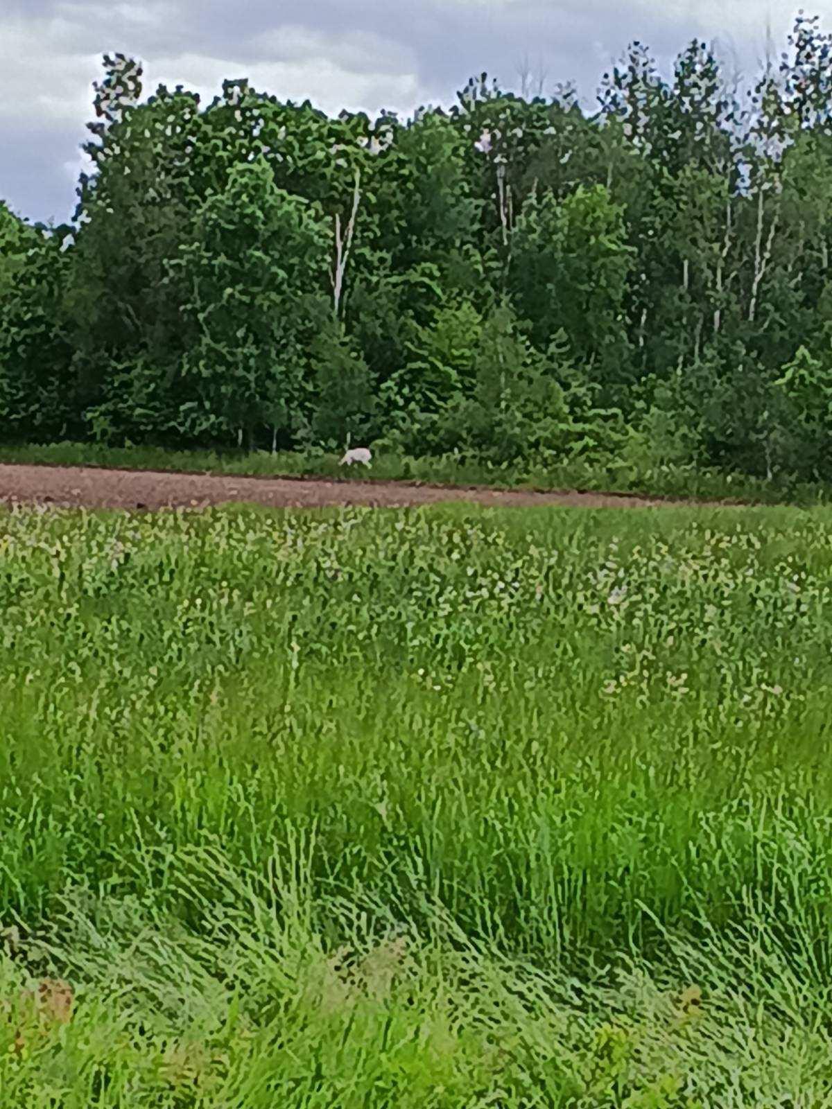 image000001.JPG
