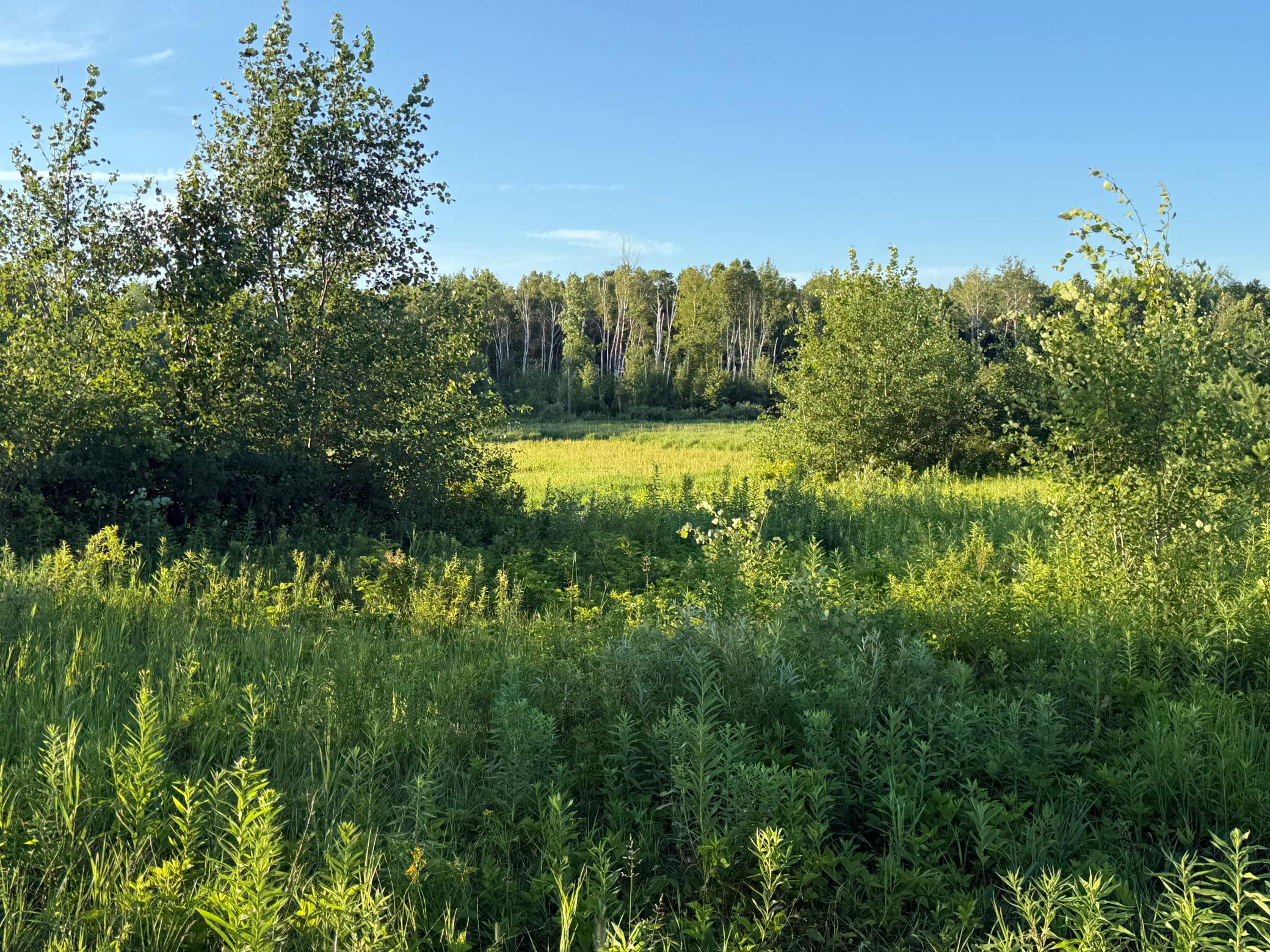 IMG_4598.jpeg