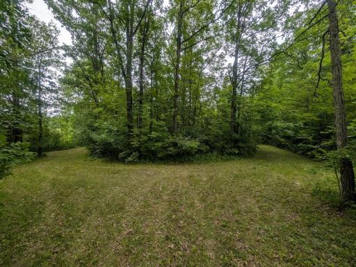 46212 US Highway 169, Palisade, MN 56469