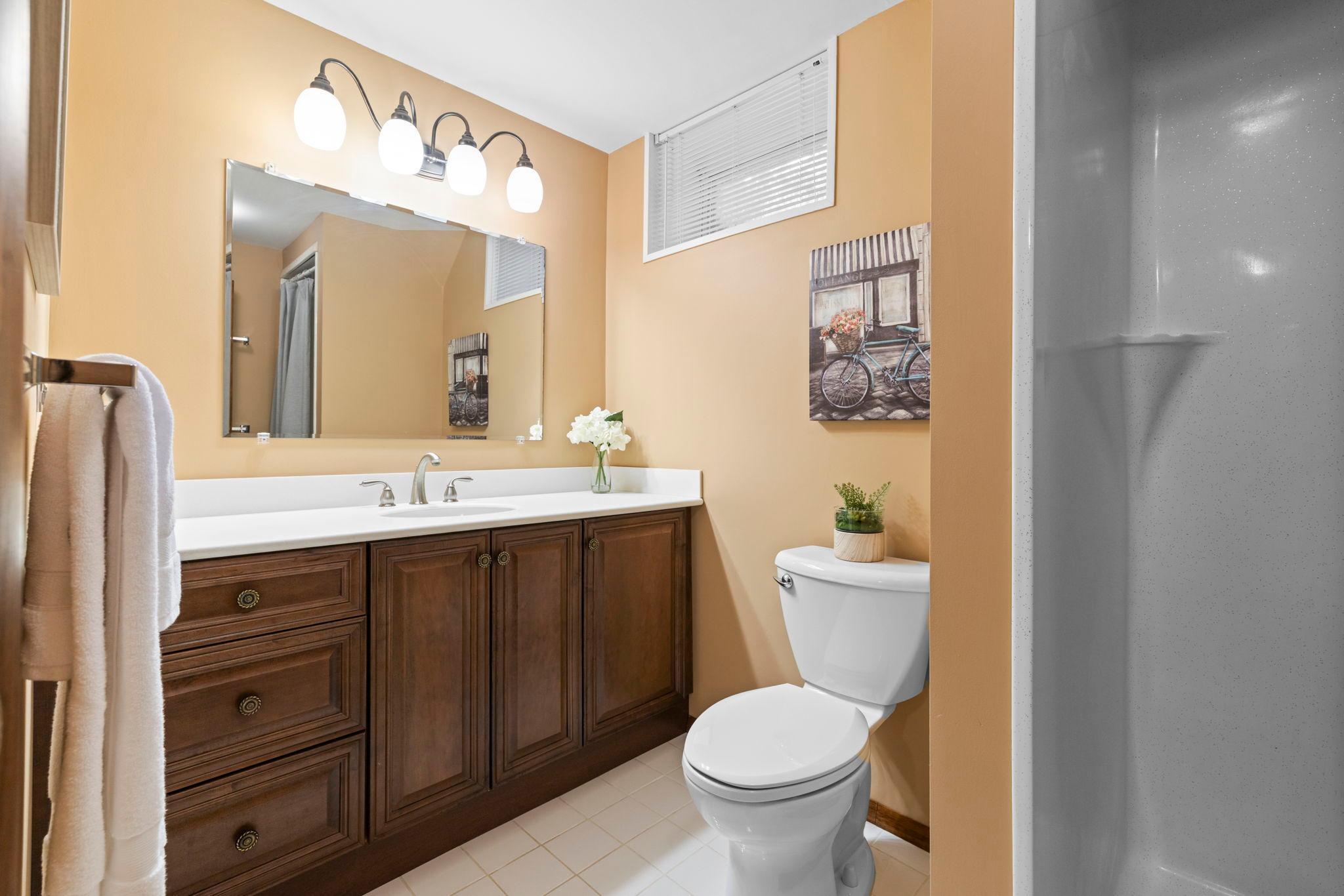 Lower level 3/4 bath