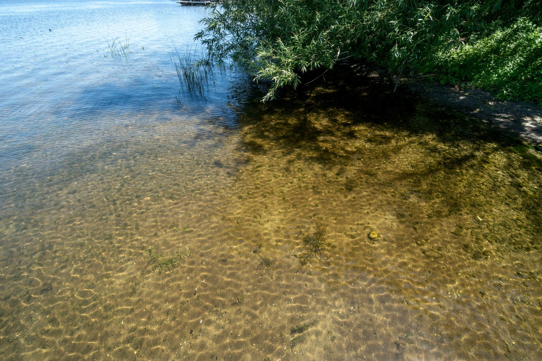 Sandy Bottom