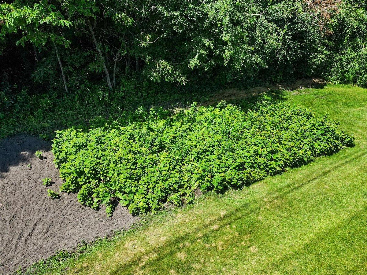 Backyard Vegetable Garden Ready for Planting