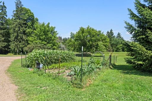 Fenced garden
