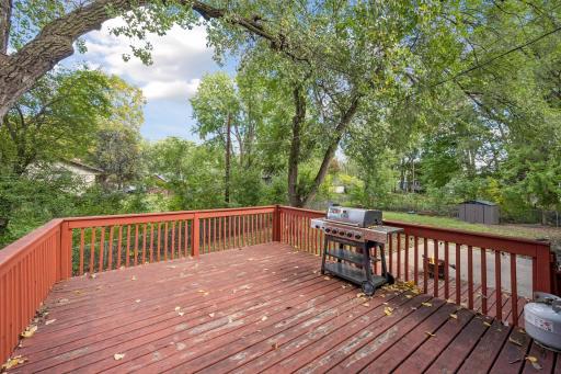 Upper deck overlooking backyard with views of the treetops.