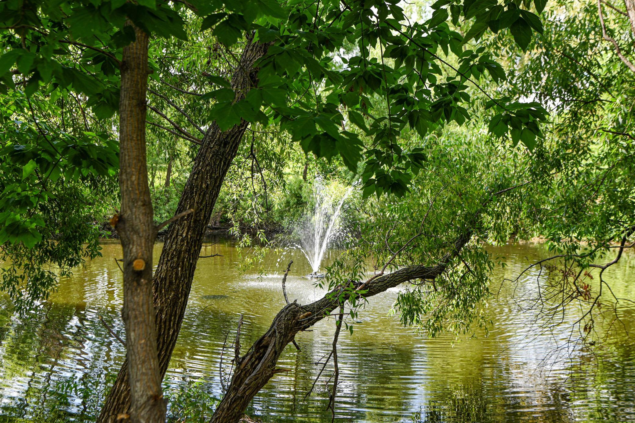 Pretty pond views