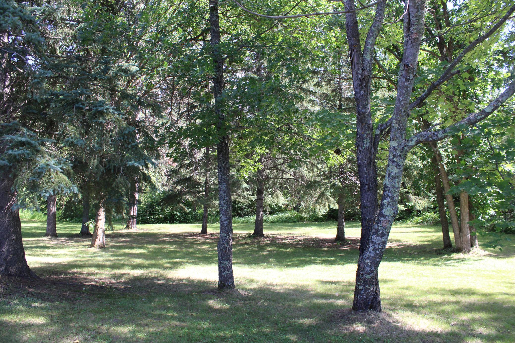 IMG_4274 - Copy.JPG