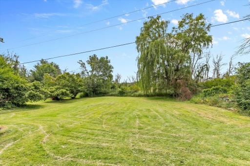 Huge yard.
