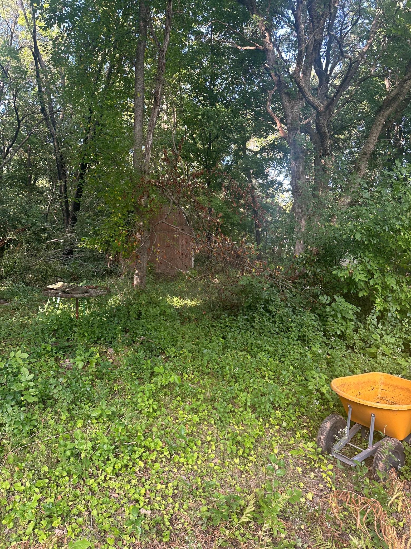 IMG_9837.jpeg