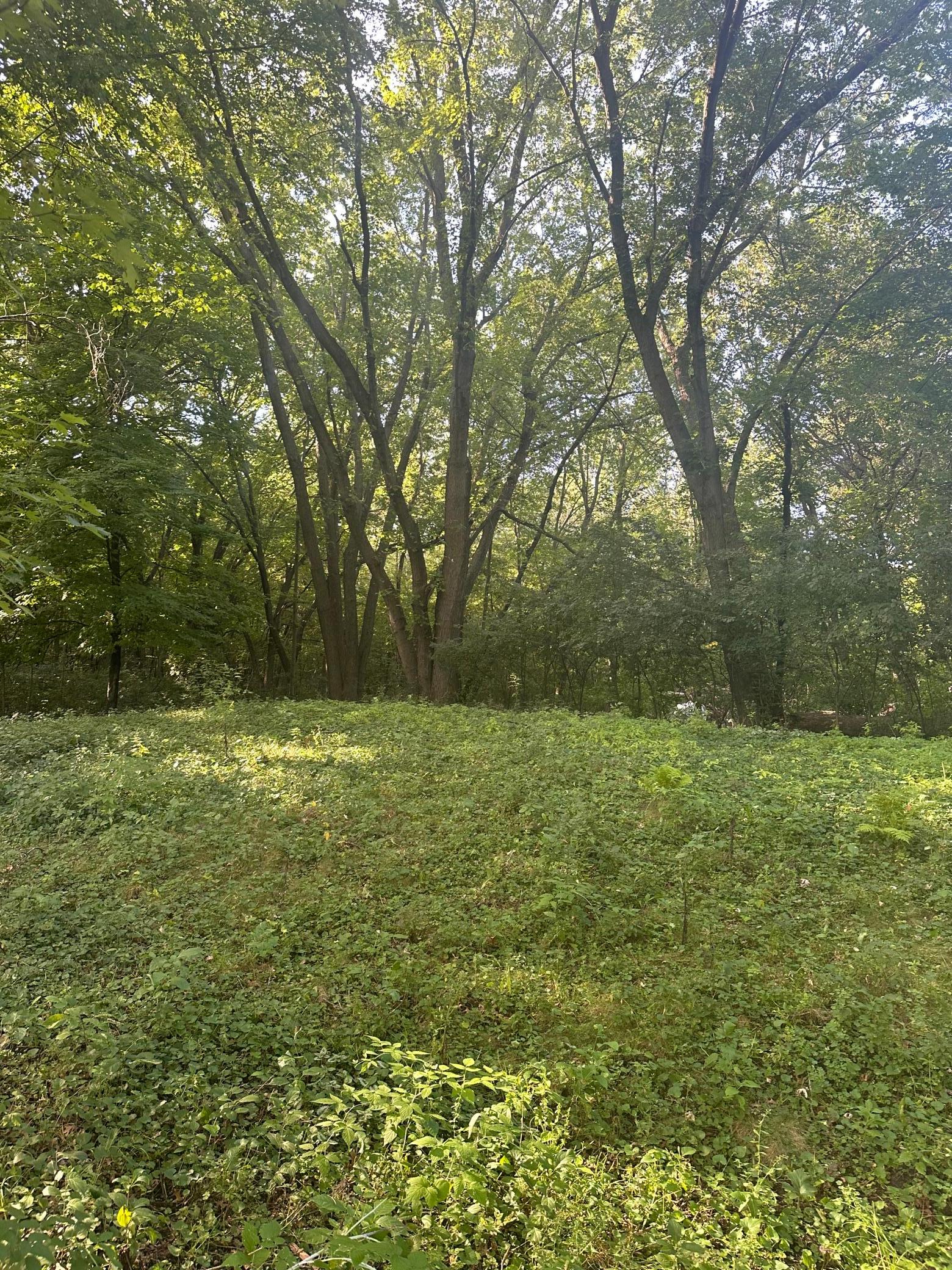 IMG_9838.jpeg