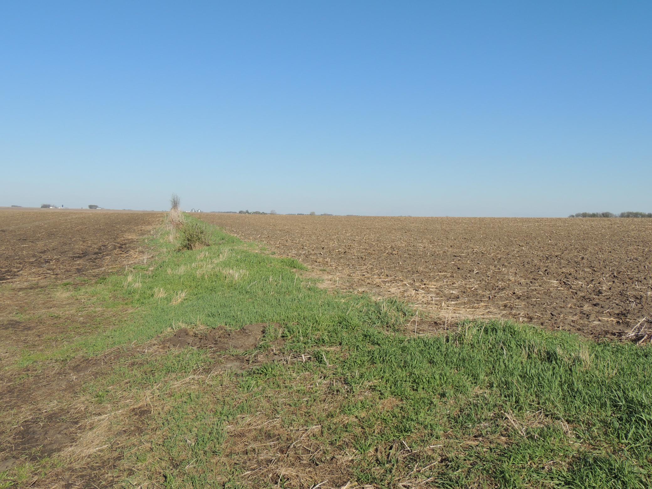 DSCN9902.JPG