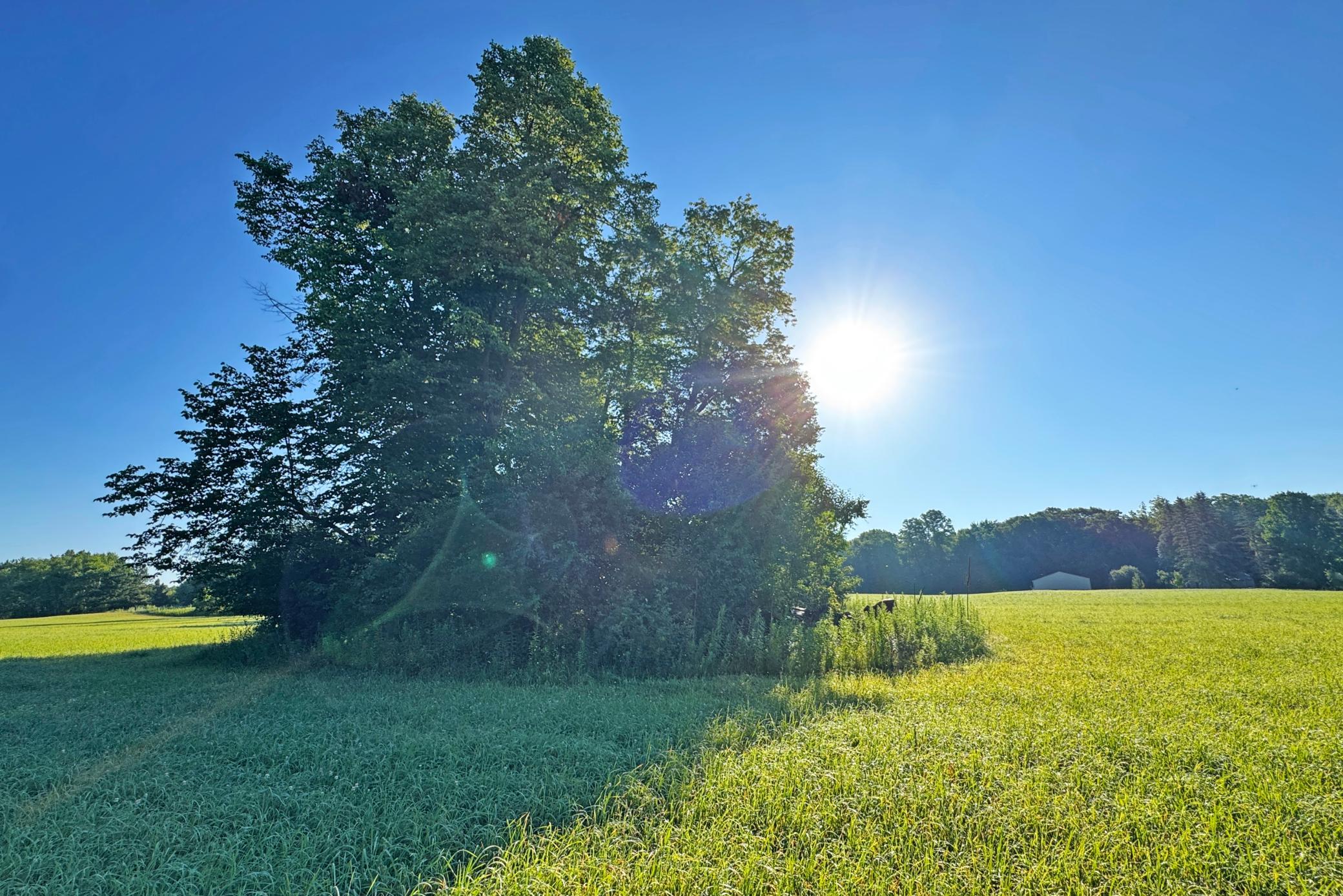 39-Kanabec-30-Land-28.JPG