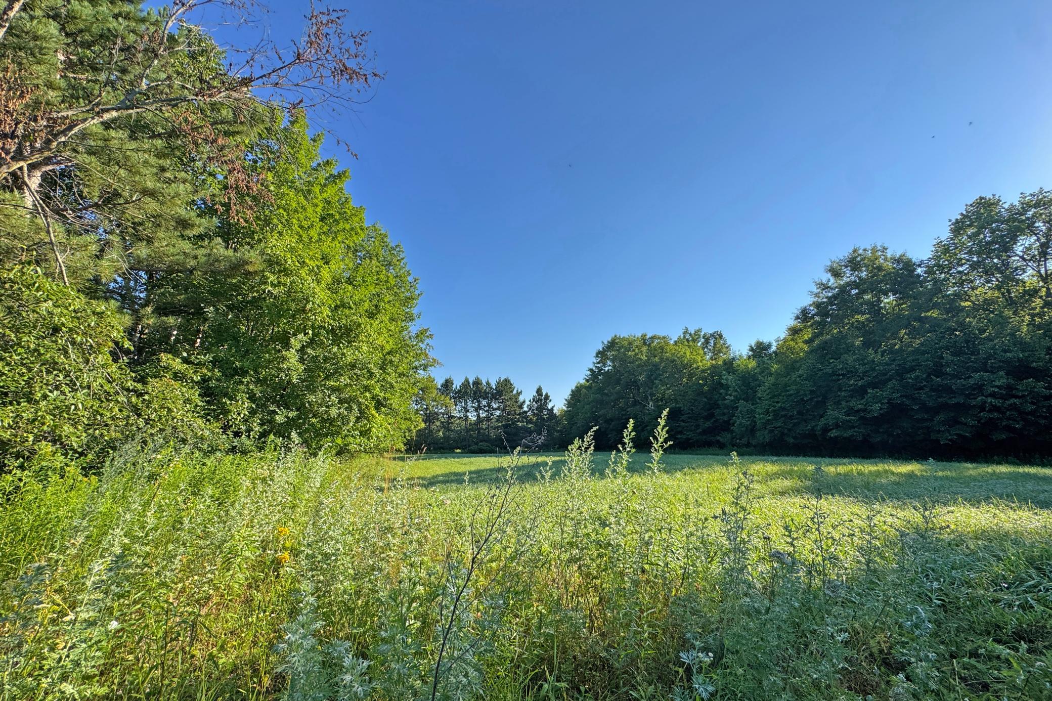 50-Kanabec-30-Land-39.JPG