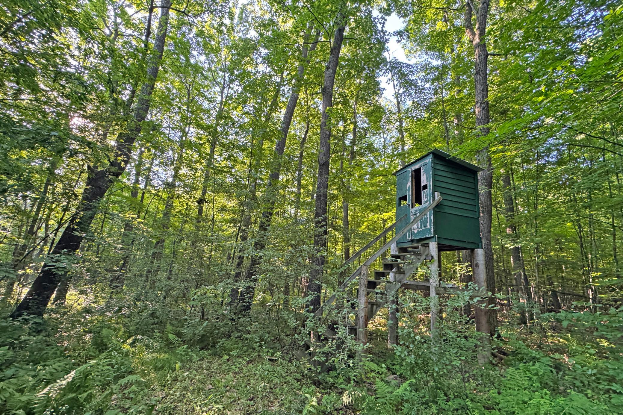 21-Kanabec-30-Land-10.JPG