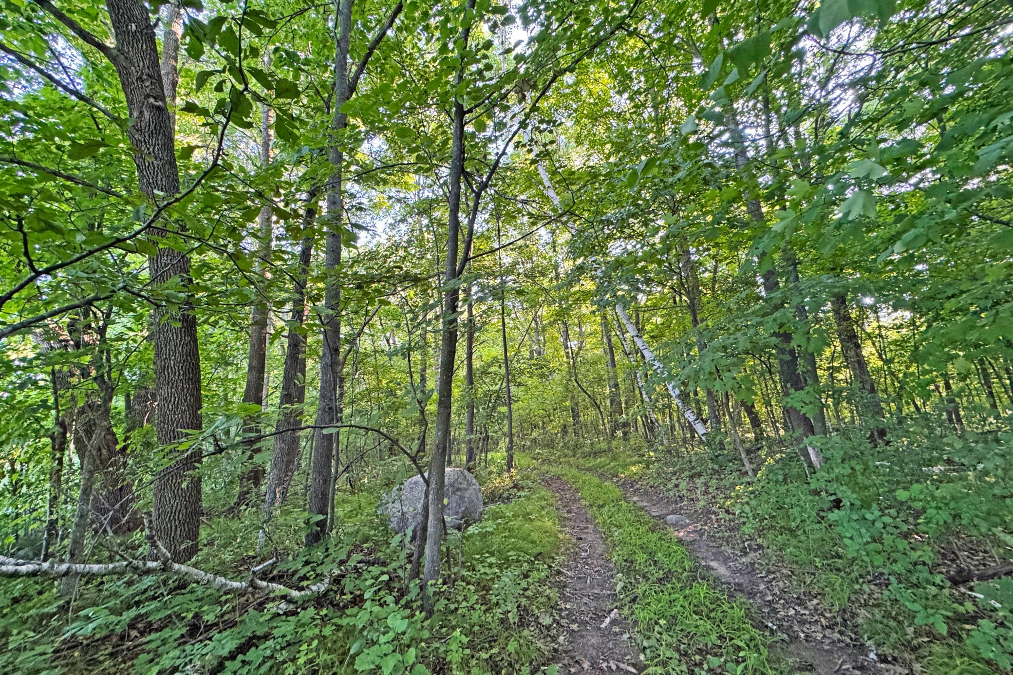 15-Kanabec-30-Land-04.JPG