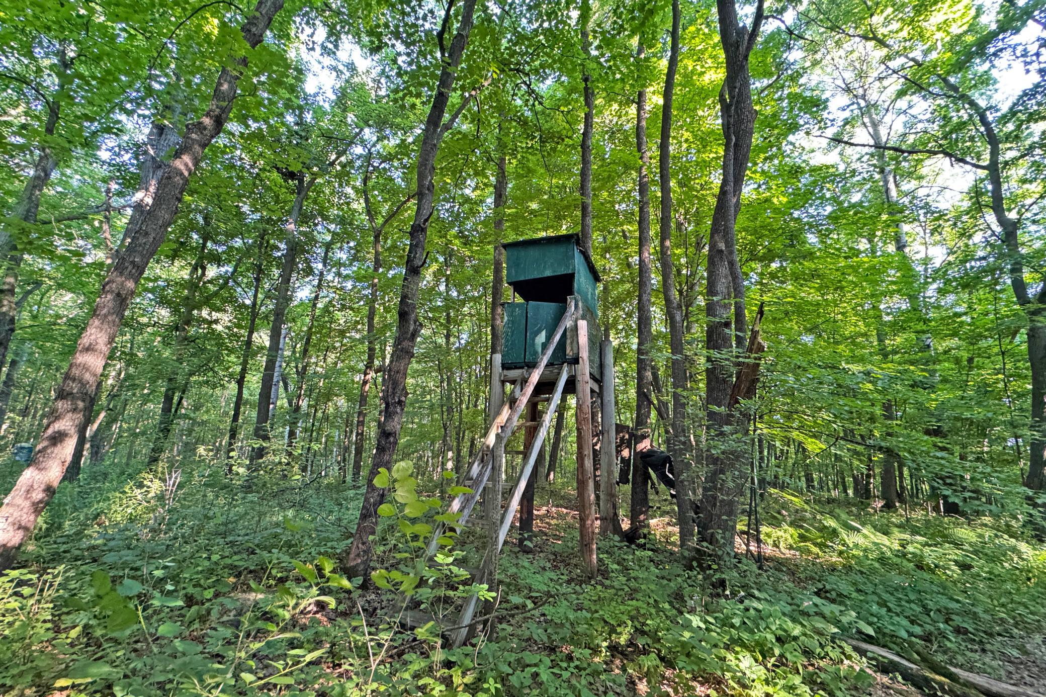 23-Kanabec-30-Land-12.JPG