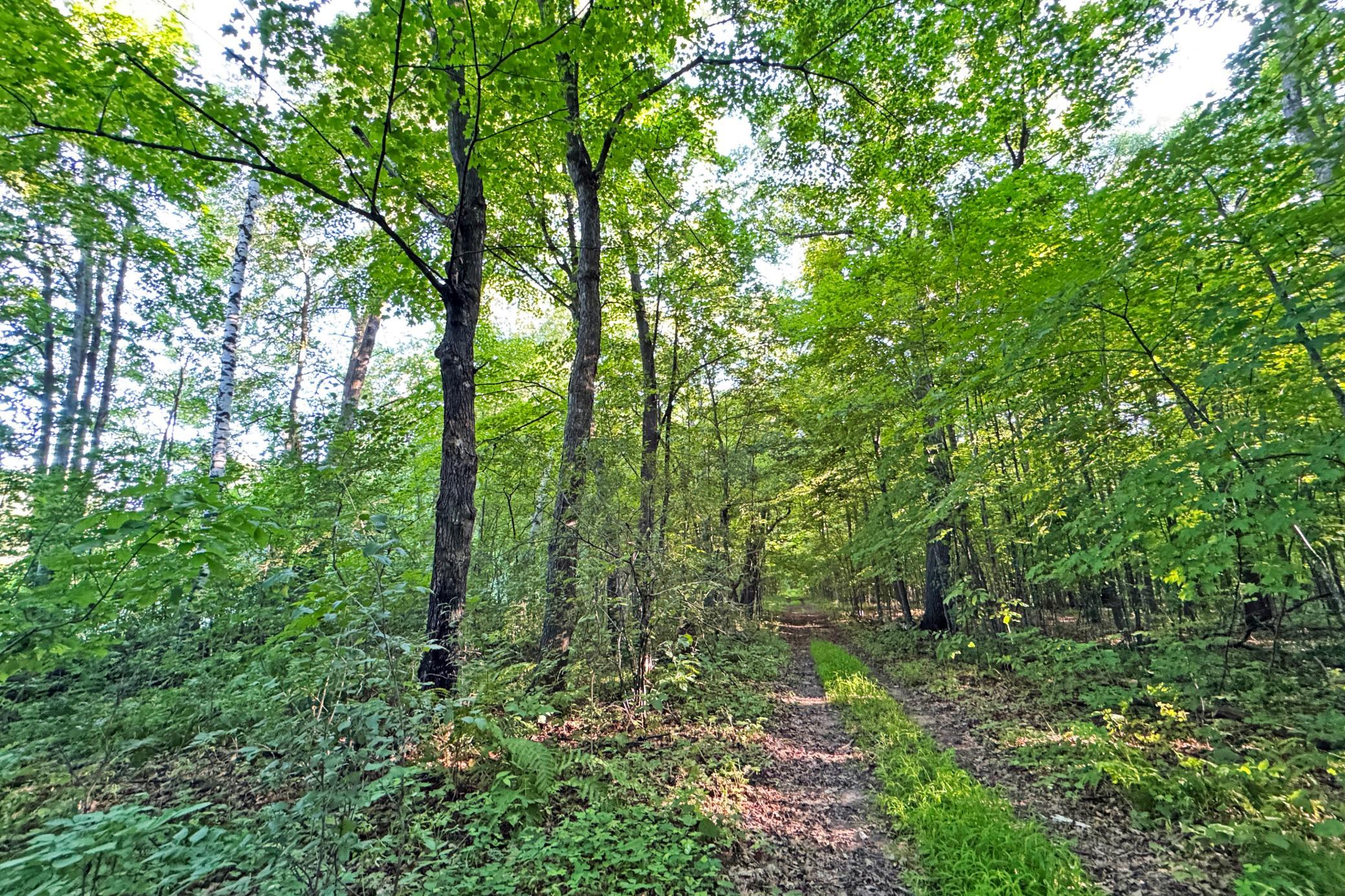 18-Kanabec-30-Land-07.JPG