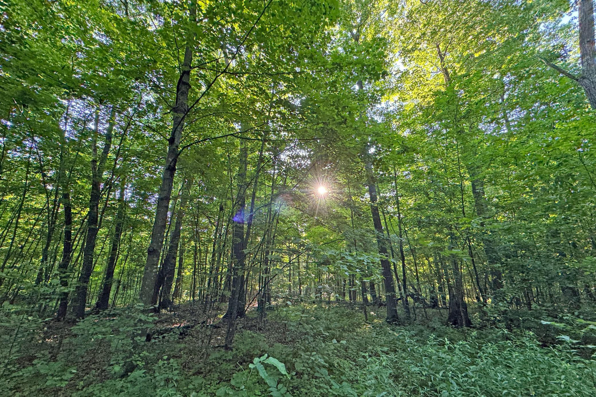 19-Kanabec-30-Land-08.JPG