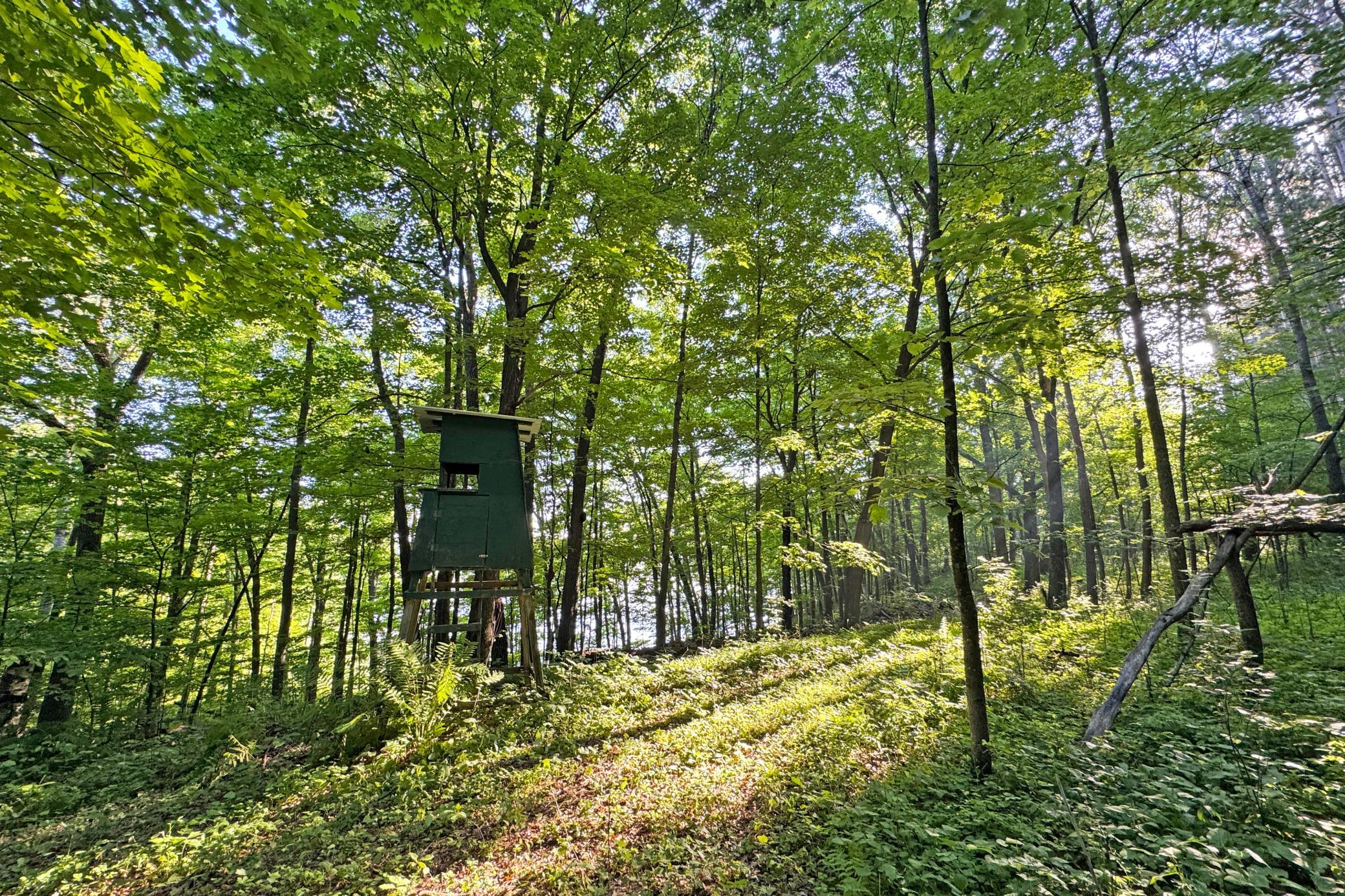 25-Kanabec-30-Land-14.JPG