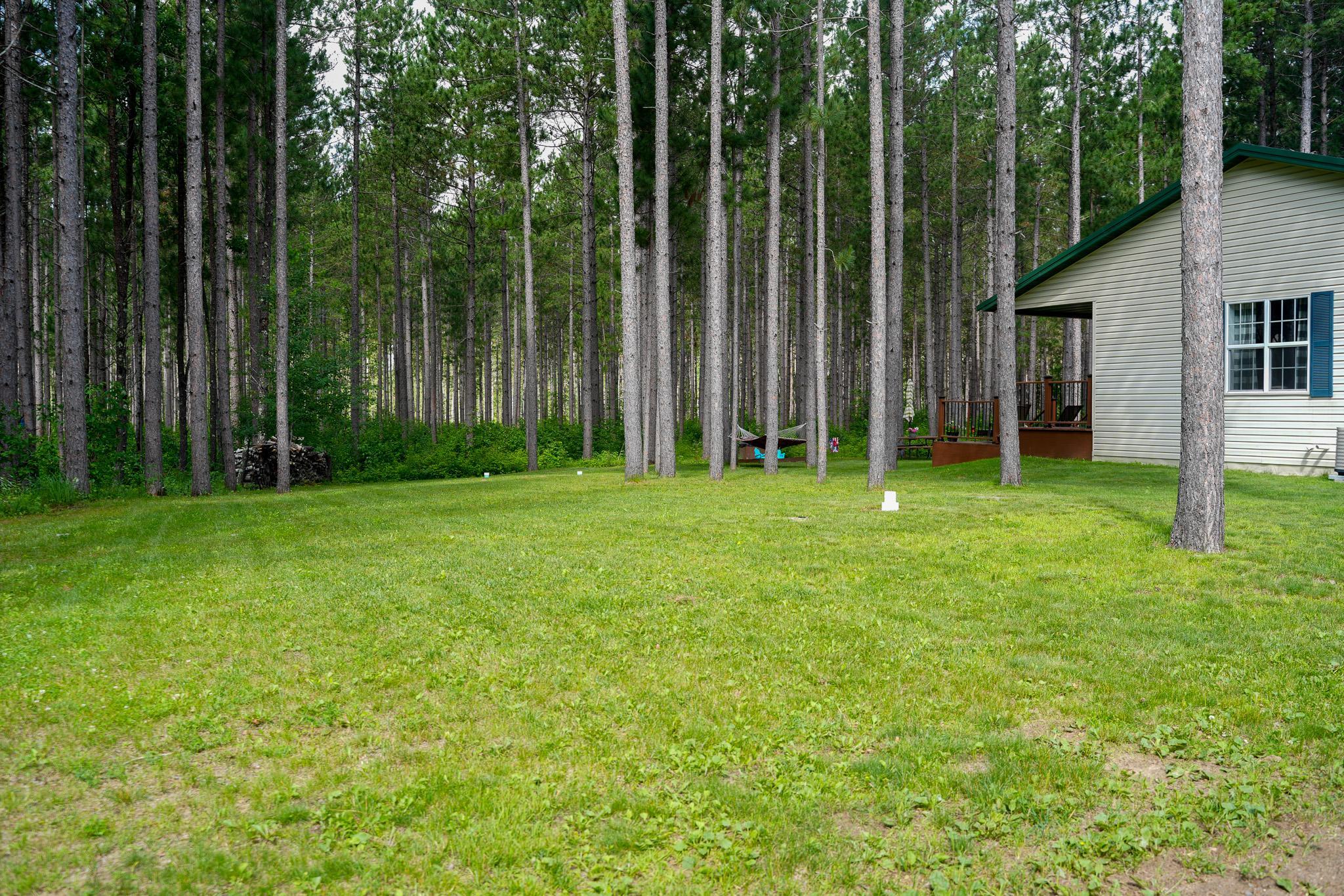 Large Open Yard