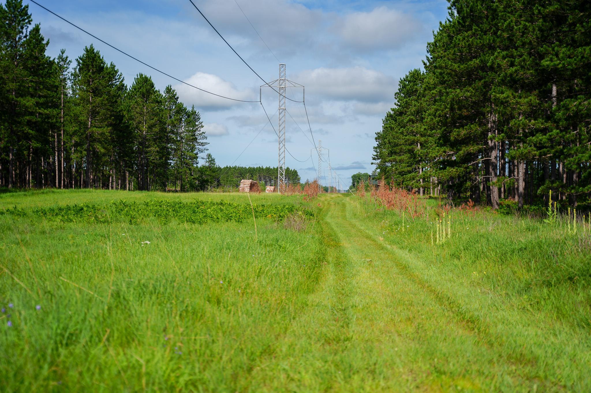 Trail through power line clearing