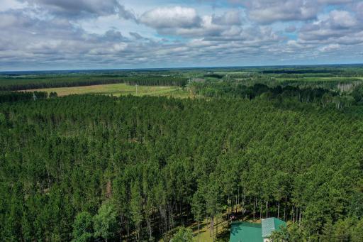 28391 County 109, Menahga, MN 56464