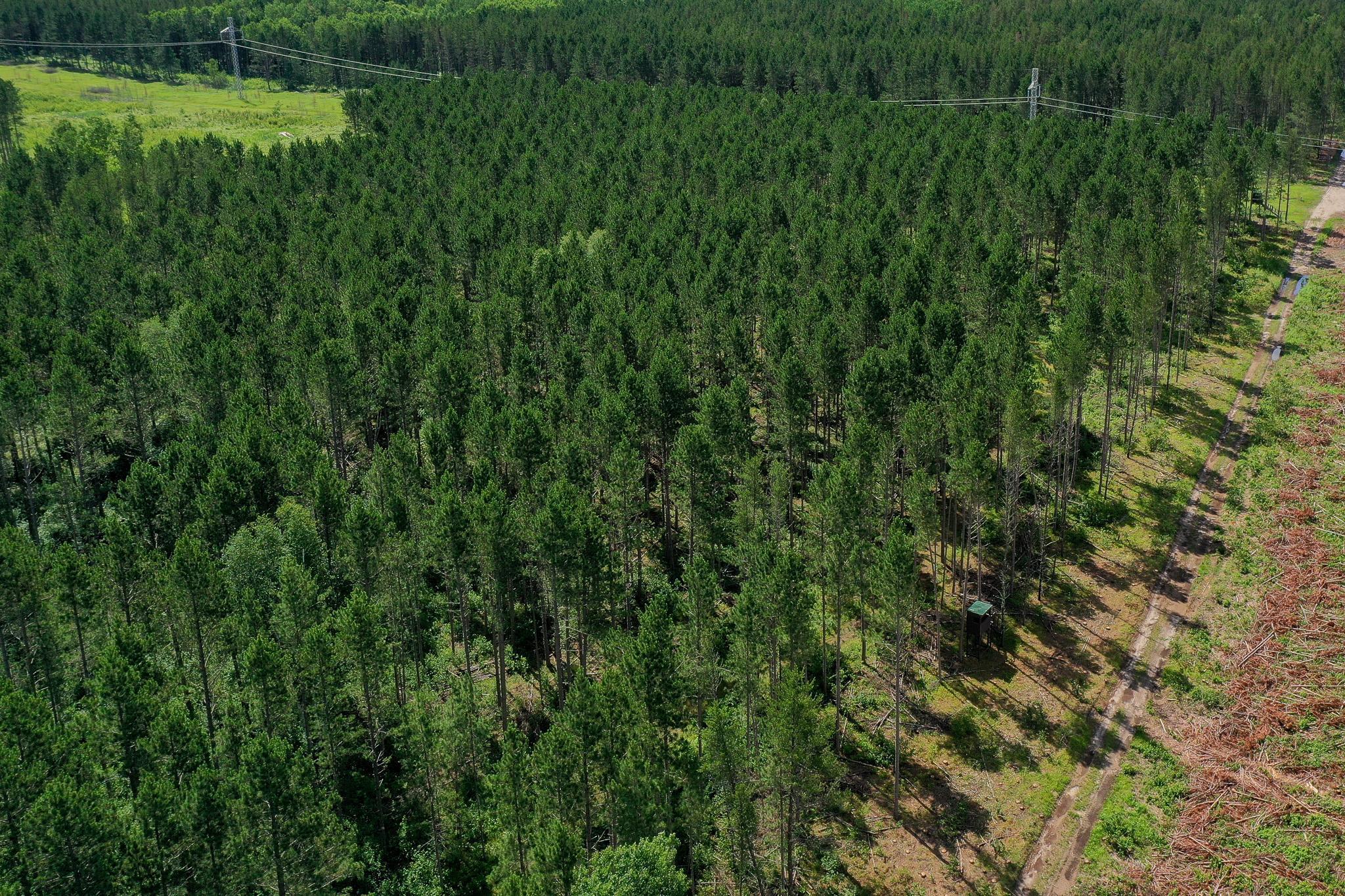 Ariel view with deer stand