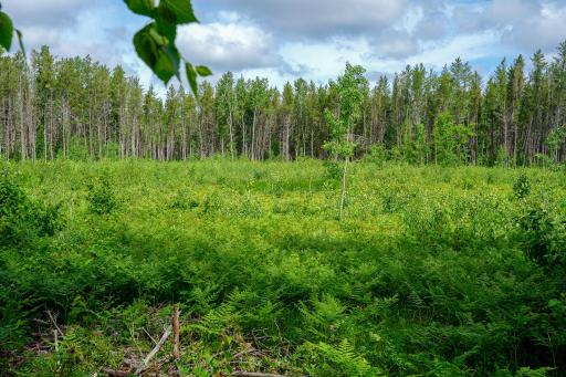 28391 County 109, Menahga, MN 56464