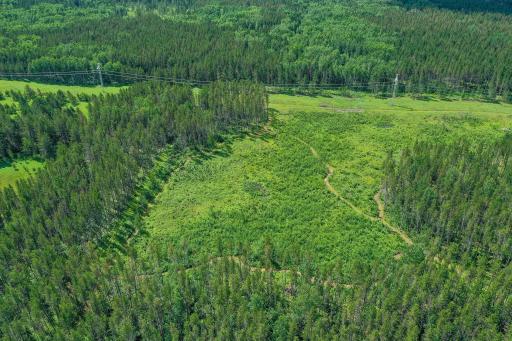 Clear cut in fall of 2024, replanted with 2,500 Red Pine Trees.jpg
