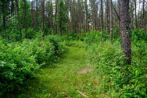 28391 County 109, Menahga, MN 56464