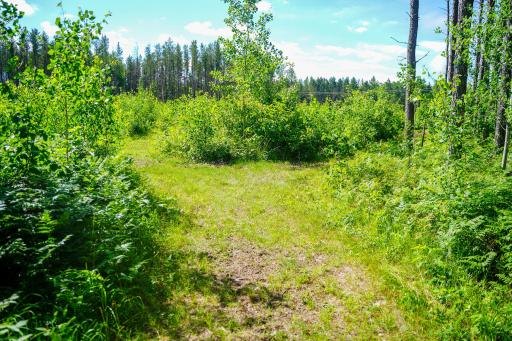 28391 County 109, Menahga, MN 56464