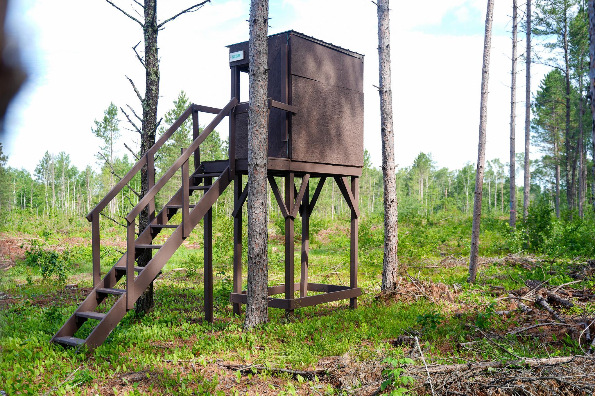 Deer stand 2 facing recent clearing
