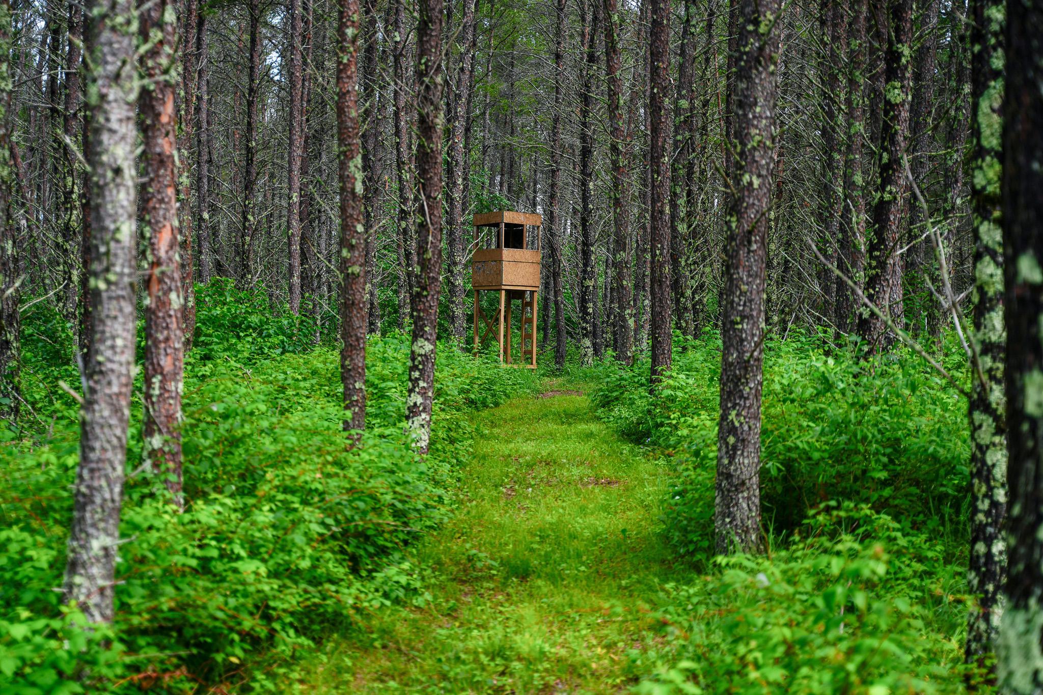 Deer stand 4