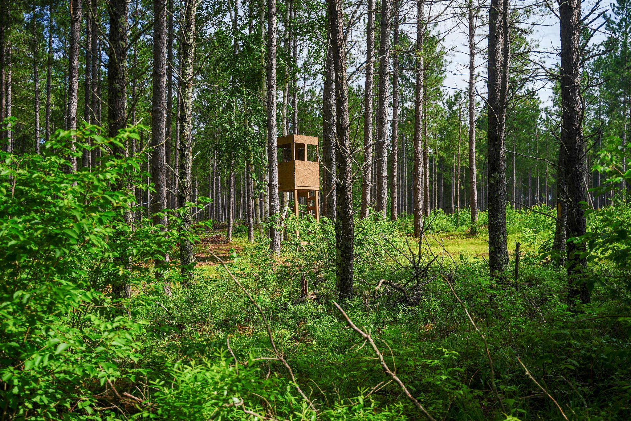 Deer stand 5
